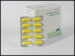 Manufacturers Exporters and Wholesale Suppliers of AMOZID 500 Ahmedabad Gujarat